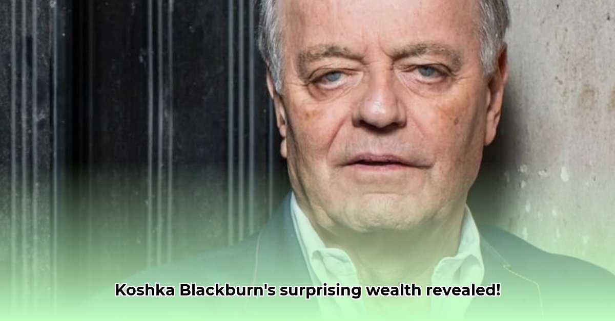koshka-blackburn-net-worth